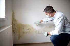 Mold Remediation for Vacation Homes in Gainesville, GA